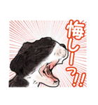 まゆ犬健太（生活編vol.2）（個別スタンプ：14）