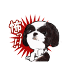 まゆ犬健太（生活編vol.2）（個別スタンプ：16）