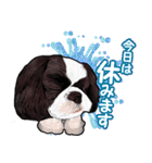 まゆ犬健太（生活編vol.2）（個別スタンプ：21）