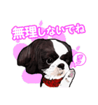 まゆ犬健太（生活編vol.2）（個別スタンプ：23）