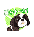 まゆ犬健太（生活編vol.2）（個別スタンプ：25）