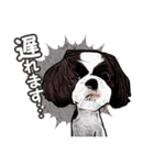 まゆ犬健太（生活編vol.2）（個別スタンプ：27）