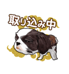 まゆ犬健太（生活編vol.2）（個別スタンプ：28）