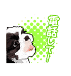 まゆ犬健太（生活編vol.2）（個別スタンプ：30）