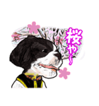まゆ犬健太（生活編vol.2）（個別スタンプ：31）