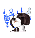 まゆ犬健太（生活編vol.2）（個別スタンプ：32）