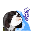 まゆ犬健太（生活編vol.2）（個別スタンプ：34）