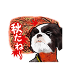 まゆ犬健太（生活編vol.2）（個別スタンプ：35）