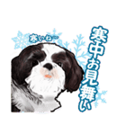 まゆ犬健太（生活編vol.2）（個別スタンプ：36）