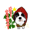 まゆ犬健太（生活編vol.2）（個別スタンプ：37）