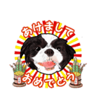 まゆ犬健太（生活編vol.2）（個別スタンプ：38）