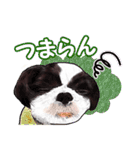 まゆ犬健太（生活編vol.2）（個別スタンプ：39）