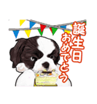 まゆ犬健太（生活編vol.2）（個別スタンプ：40）