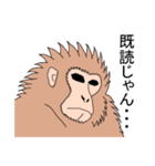 三河弁の猿達（個別スタンプ：1）