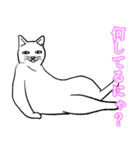 かわいい猫～THE・ねこ・ぬこ・ネコ～（個別スタンプ：6）