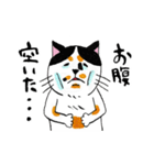 猫のみよ子（個別スタンプ：22）