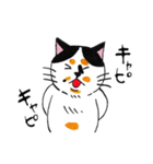 猫のみよ子（個別スタンプ：29）