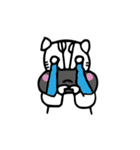 Circus Zebra（個別スタンプ：8）