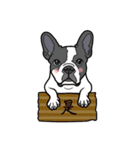 French bulldog  Chinese  Sticker（個別スタンプ：2）