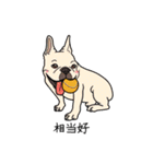 French bulldog  Chinese  Sticker（個別スタンプ：5）