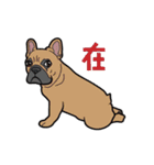 French bulldog  Chinese  Sticker（個別スタンプ：7）