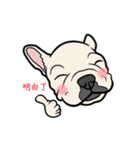 French bulldog  Chinese  Sticker（個別スタンプ：8）