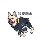 French bulldog  Chinese  Sticker（個別スタンプ：14）