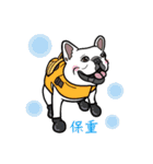 French bulldog  Chinese  Sticker（個別スタンプ：21）