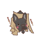 French bulldog  Chinese  Sticker（個別スタンプ：26）