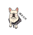 French bulldog  Chinese  Sticker（個別スタンプ：30）