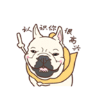 French bulldog  Chinese  Sticker（個別スタンプ：31）