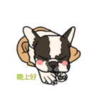 French bulldog  Chinese  Sticker（個別スタンプ：35）