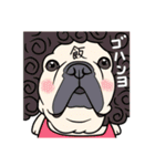 French bulldog  Chinese  Sticker（個別スタンプ：36）