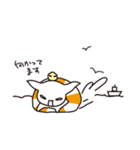 白目チワワ（個別スタンプ：25）