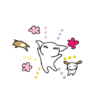 白目チワワ（個別スタンプ：34）