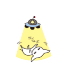 白目チワワ（個別スタンプ：37）