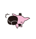 白目チワワ（個別スタンプ：39）