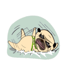 Mao Whatta Pug（個別スタンプ：18）