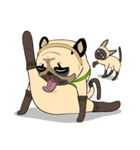 Mao Whatta Pug（個別スタンプ：23）