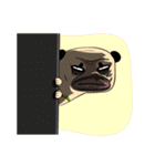 Mao Whatta Pug（個別スタンプ：30）