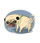 Mao Whatta Pug（個別スタンプ：31）