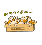 どうせっ！むり！！4（個別スタンプ：24）