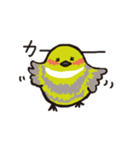 かきくけことり（個別スタンプ：3）