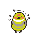 かきくけことり（個別スタンプ：4）