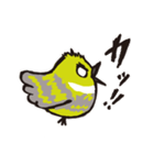 かきくけことり（個別スタンプ：5）
