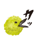 かきくけことり（個別スタンプ：6）