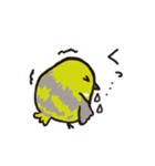 かきくけことり（個別スタンプ：19）