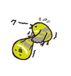 かきくけことり（個別スタンプ：24）