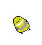 かきくけことり（個別スタンプ：36）