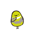かきくけことり（個別スタンプ：37）